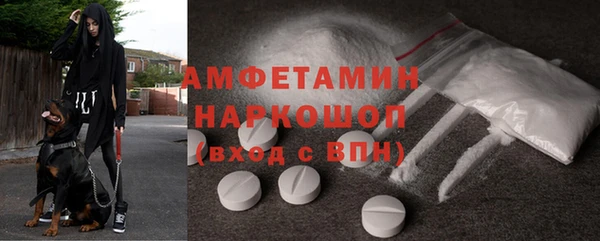 дурь Инсар