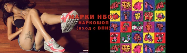твердый Инта