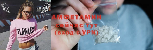твердый Инта