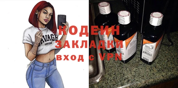 твердый Инта