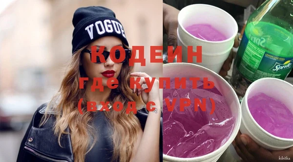 твердый Инта