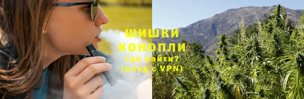 дурь Инсар