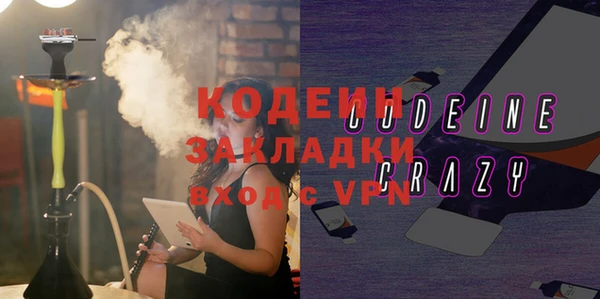 дурь Инсар