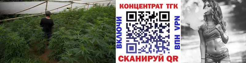 Дистиллят ТГК вейп  Купить  Мариинский Посад 
