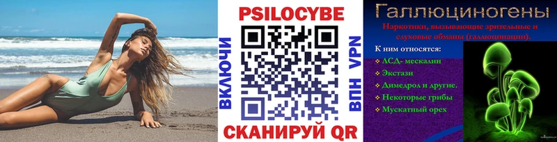 Купить закладки  Мариинский Посад  Галлюциногенные грибы Psilocybine cubensis 